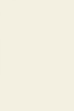 FARROW AND BALL JAMES WHITE NO. 2010 PAINT